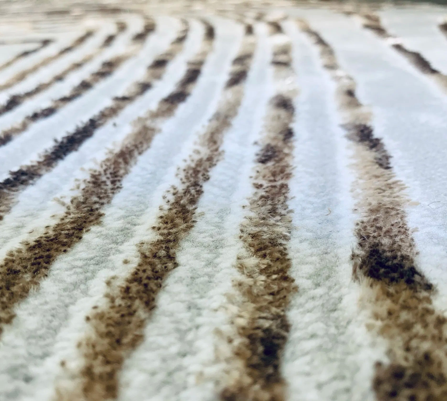 Kratos Beige Brown Carpet (Rectangle)