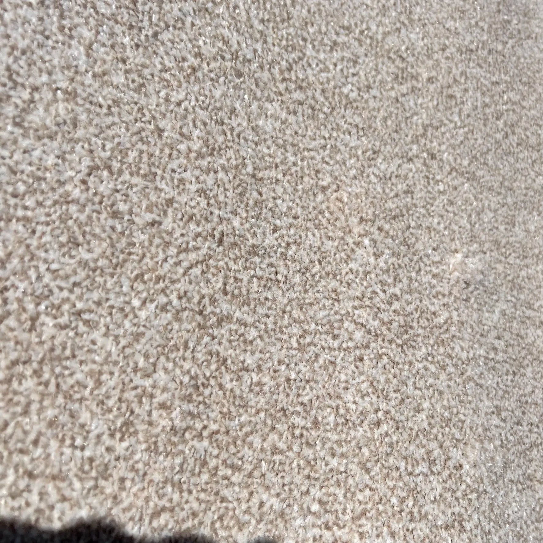 Paolo Beige Carpet (Rectangle)