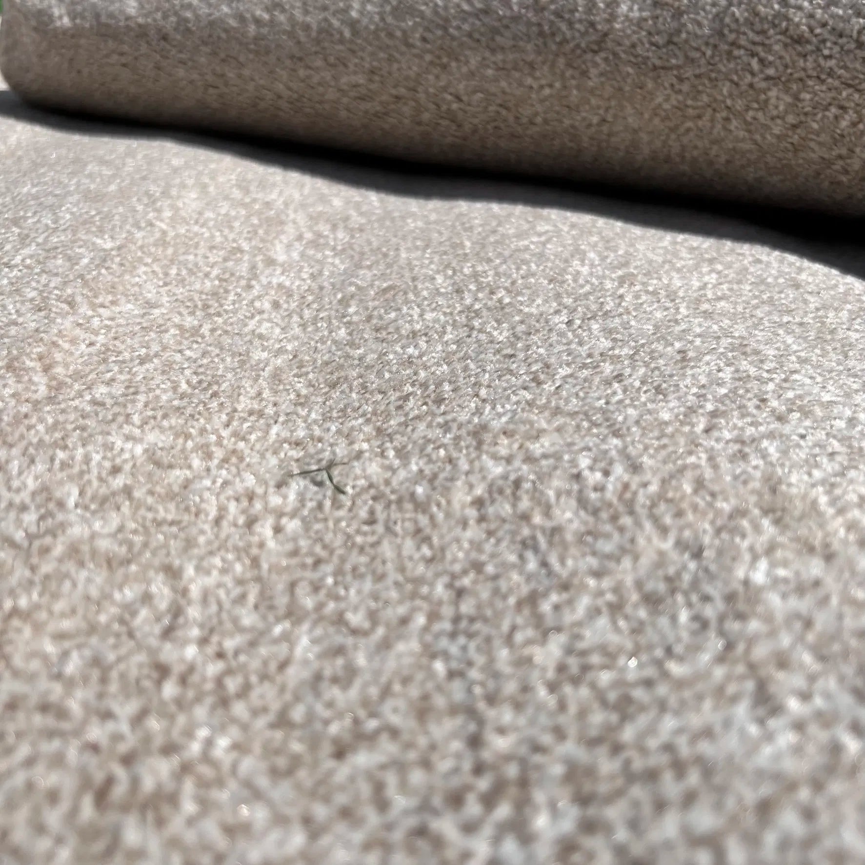 Paolo Beige Carpet (Rectangle)