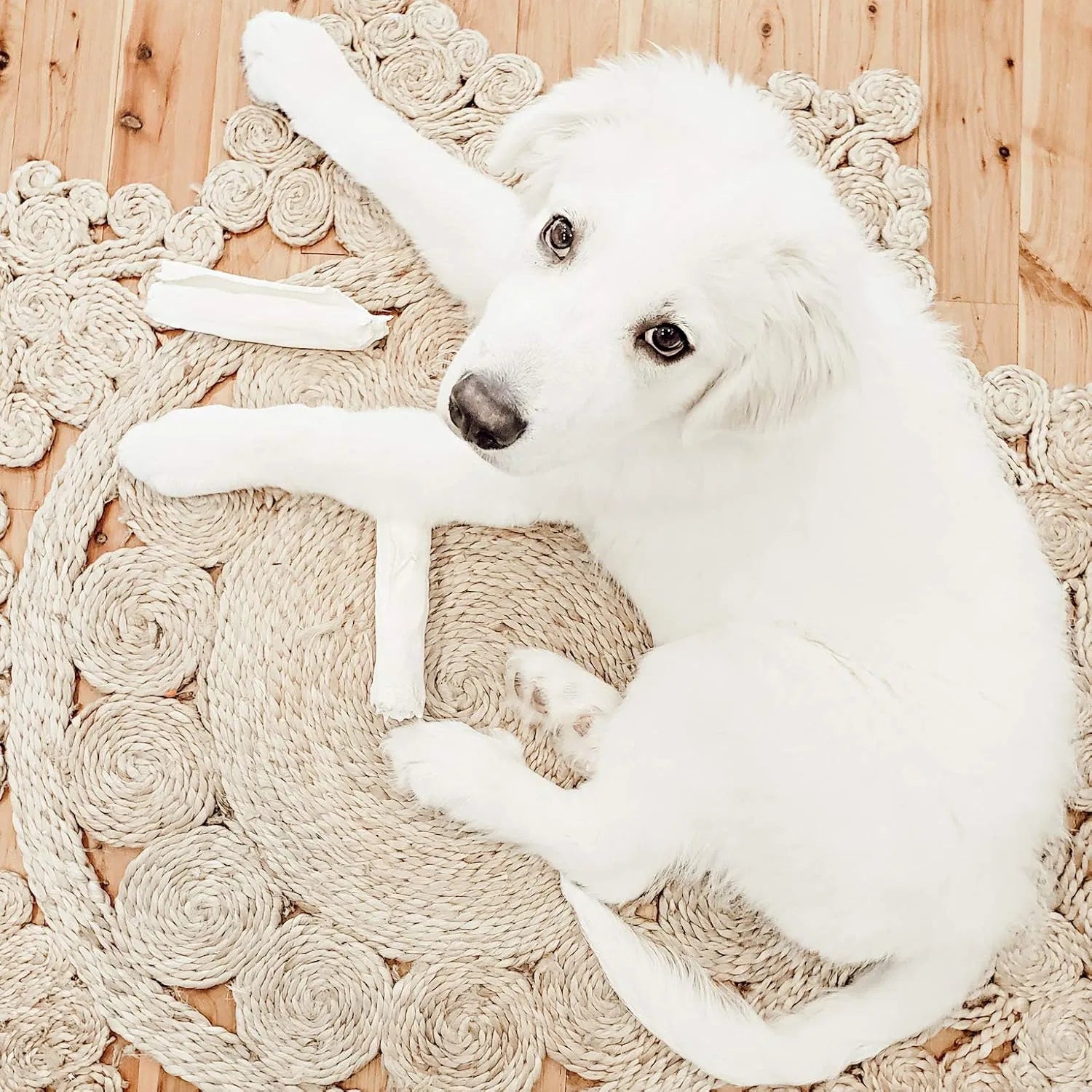 Kalymnos Natural Beige Carpet (Round)