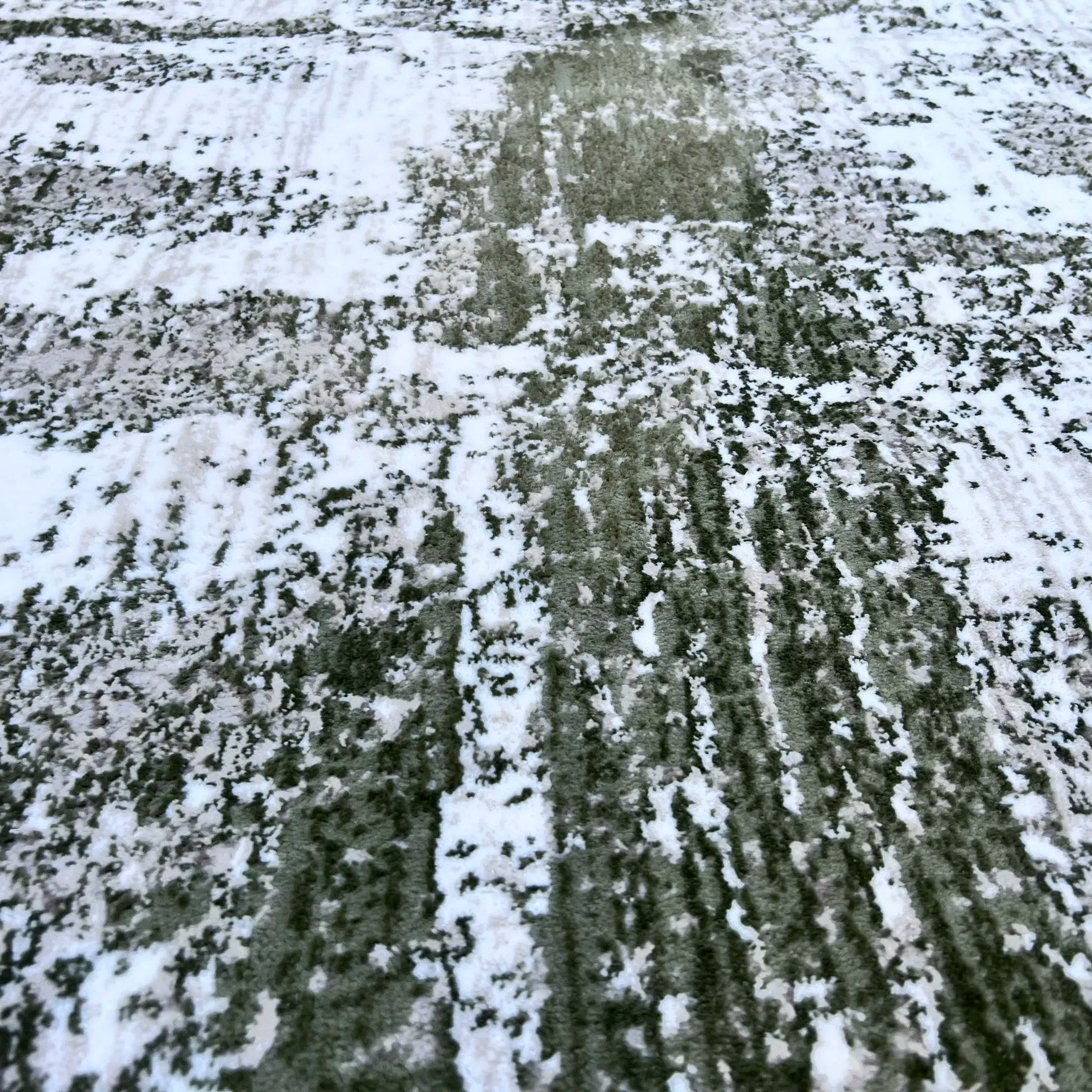 Dew Beige, Green Carpet (Runner)