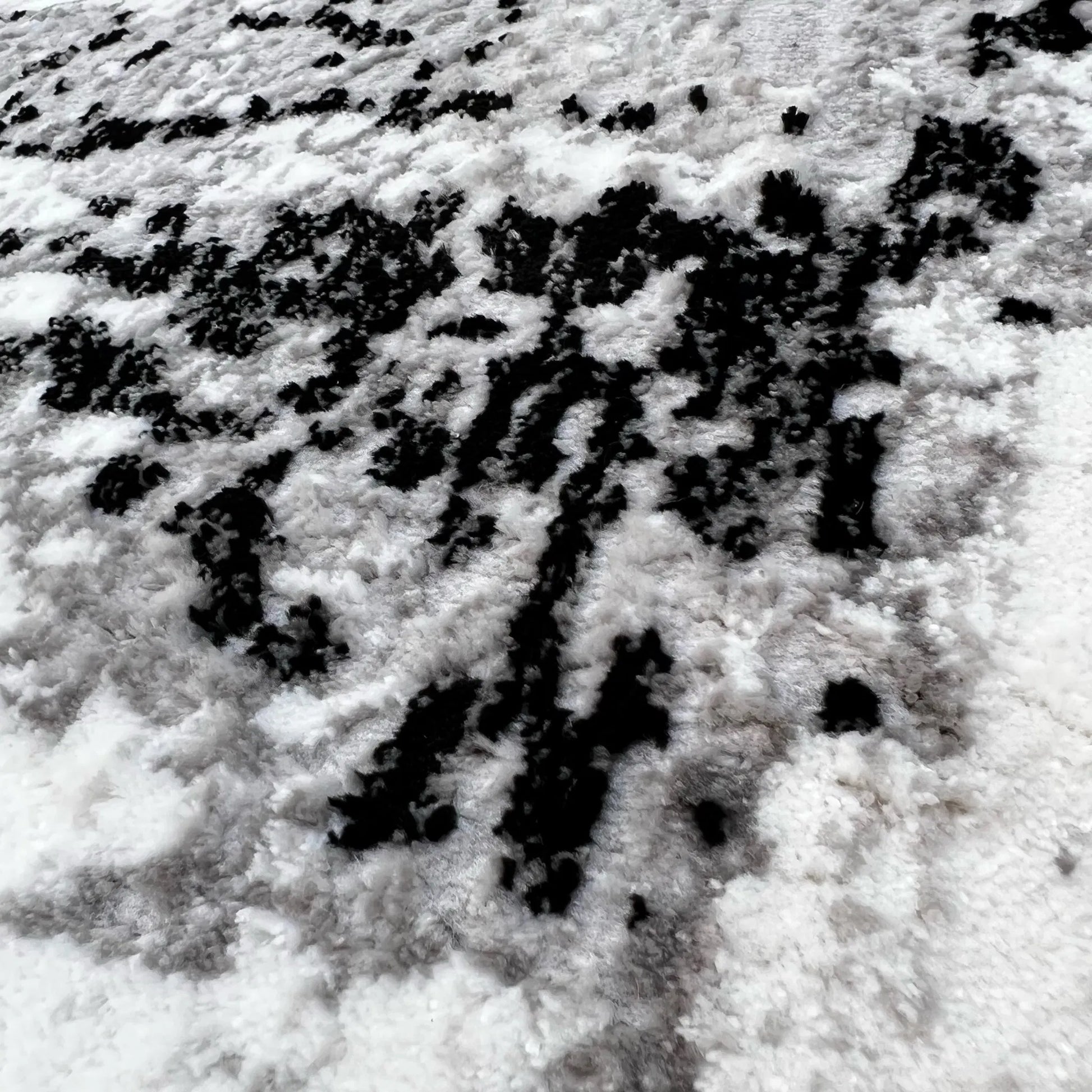 Supremo Grey, Black Carpet (Rectangle)