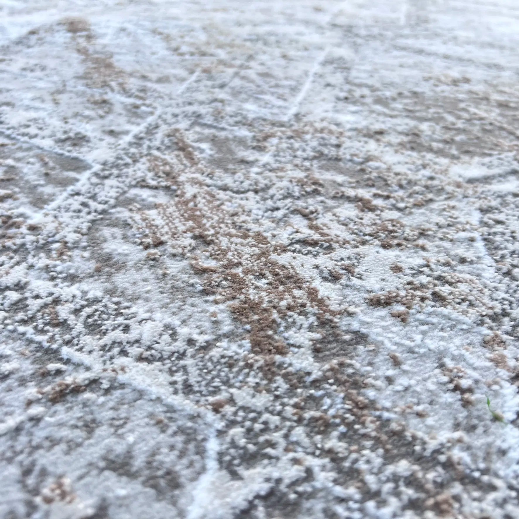 Yaris Beige, Brown Carpet (Rectangle)