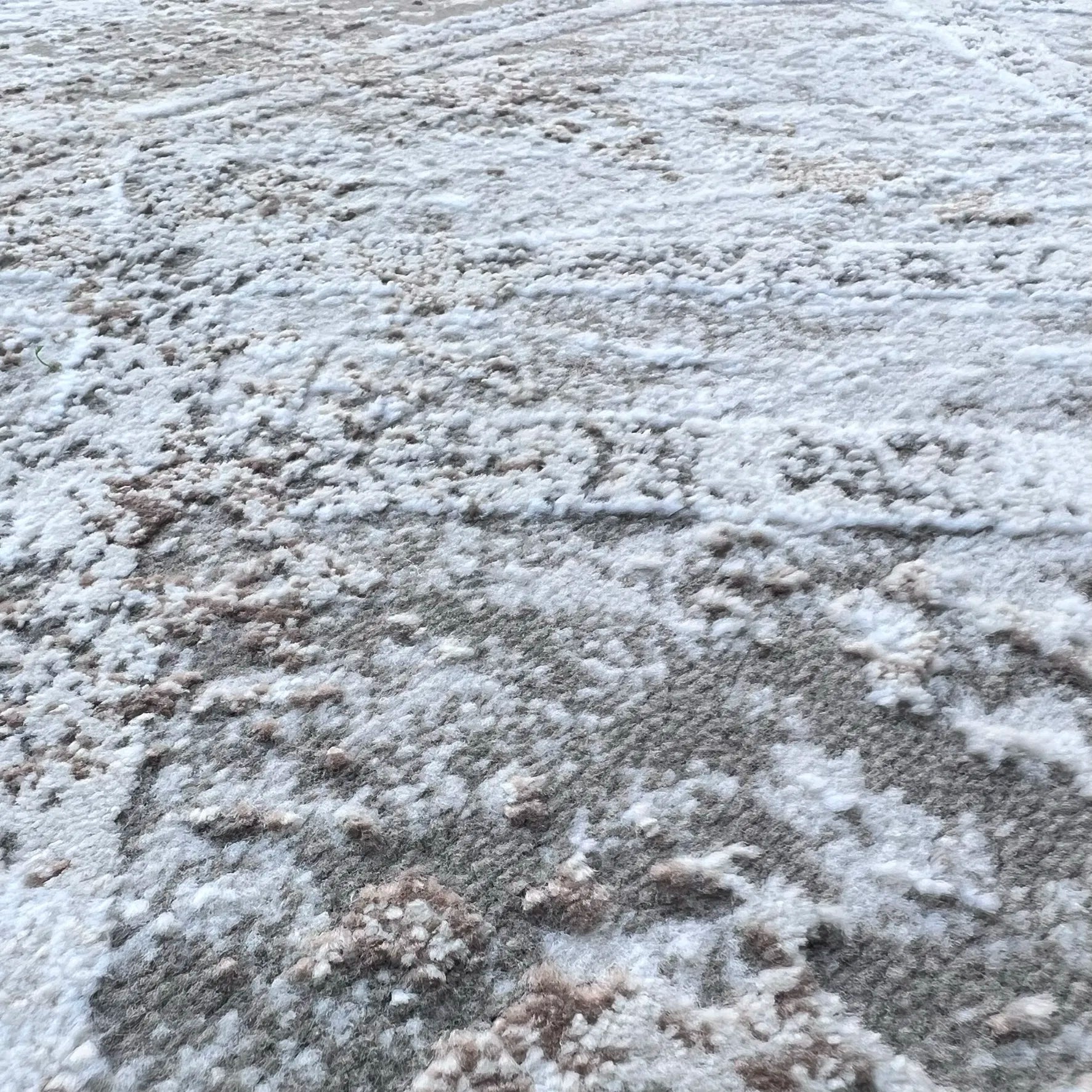 Yaris Beige, Brown Carpet (Rectangle)