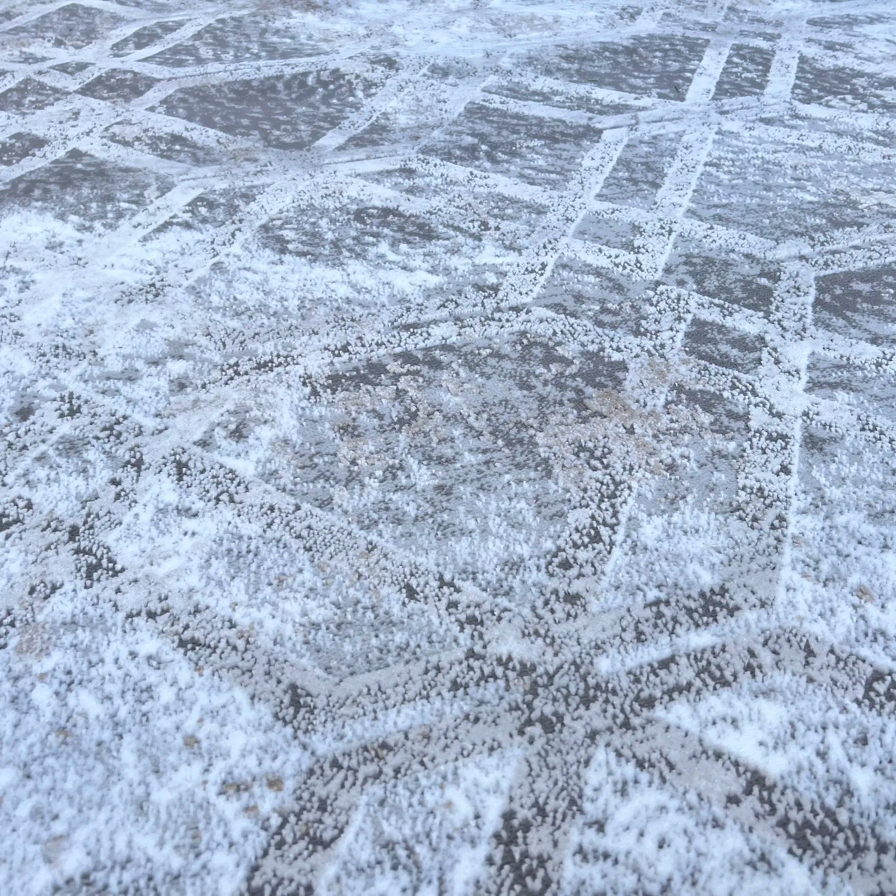 Yaris Beige, Brown Carpet (Rectangle)