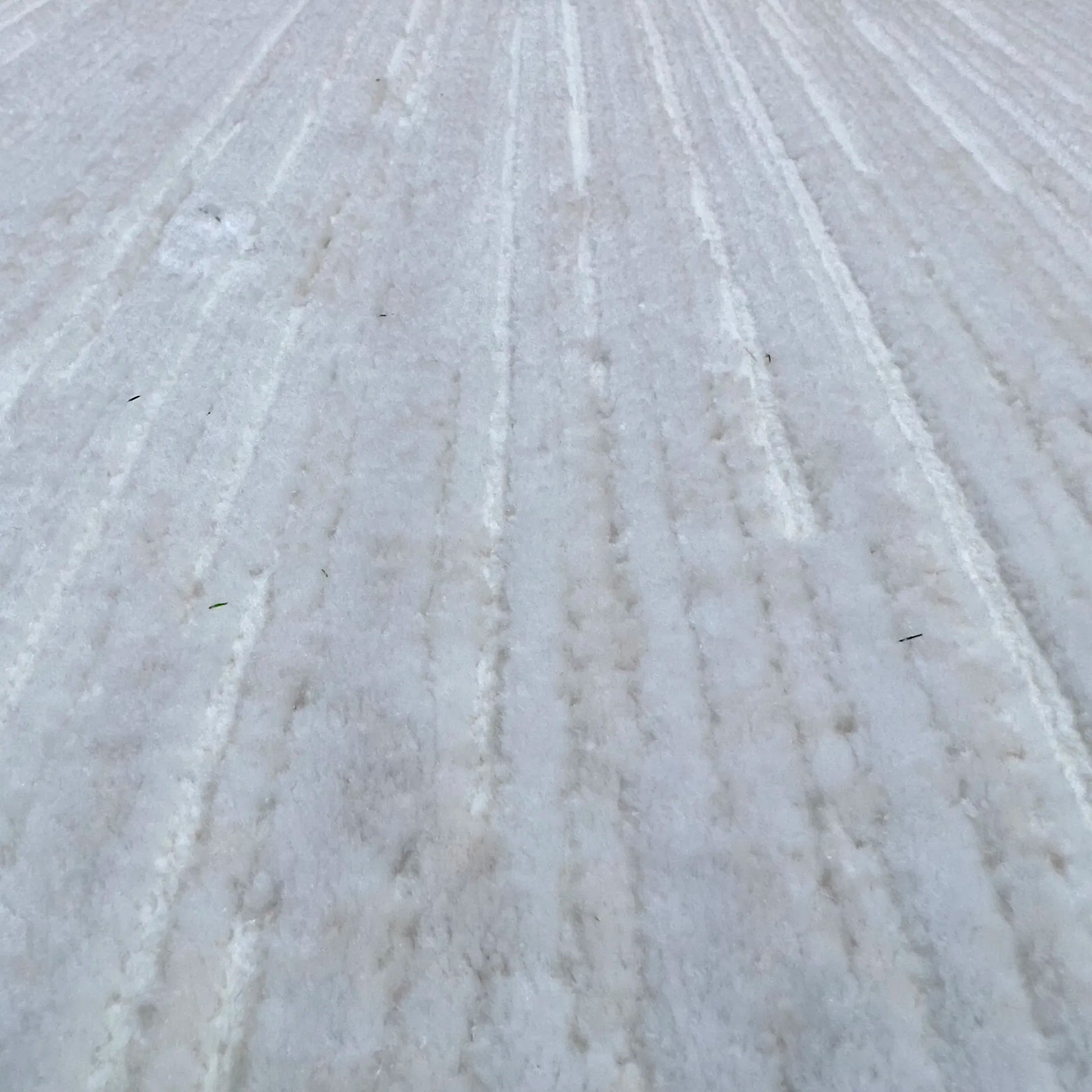 Snow White Carpet (Rectangle)