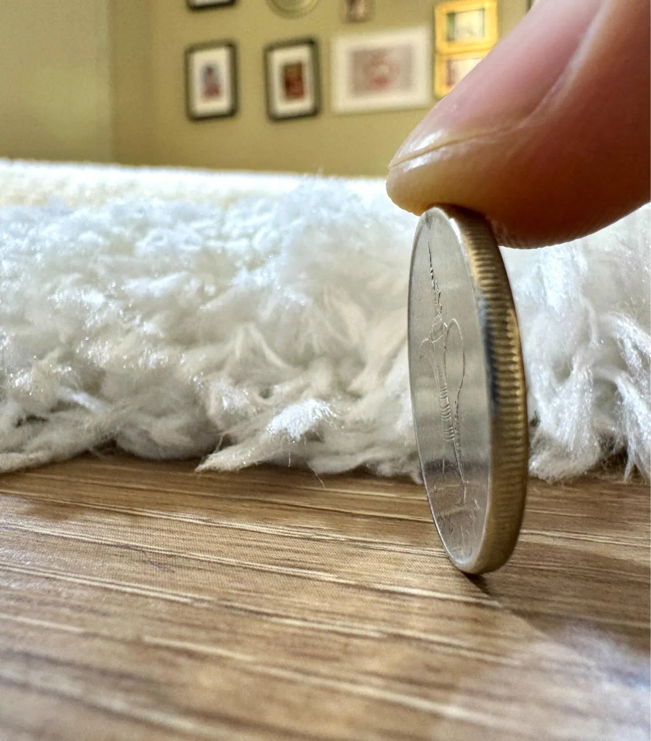 Fluffy White Carpet (Runner)